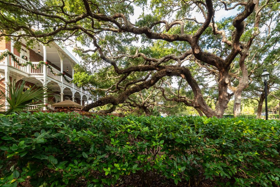 Savannah Squares for a weekend without rushing — travel · USA Travel