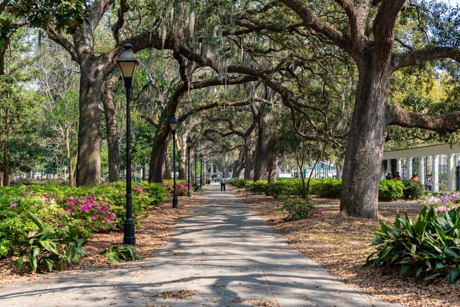 Savannah Squares around a memorable ferry ride — travel · USA Travel