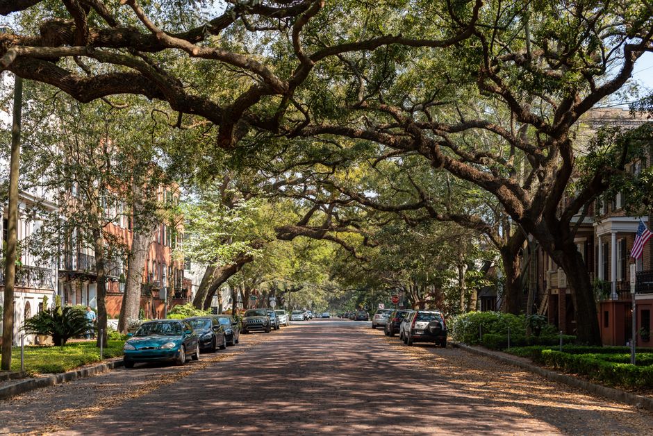 New Orleans Garden District around a farmers market — travel · USA Travel