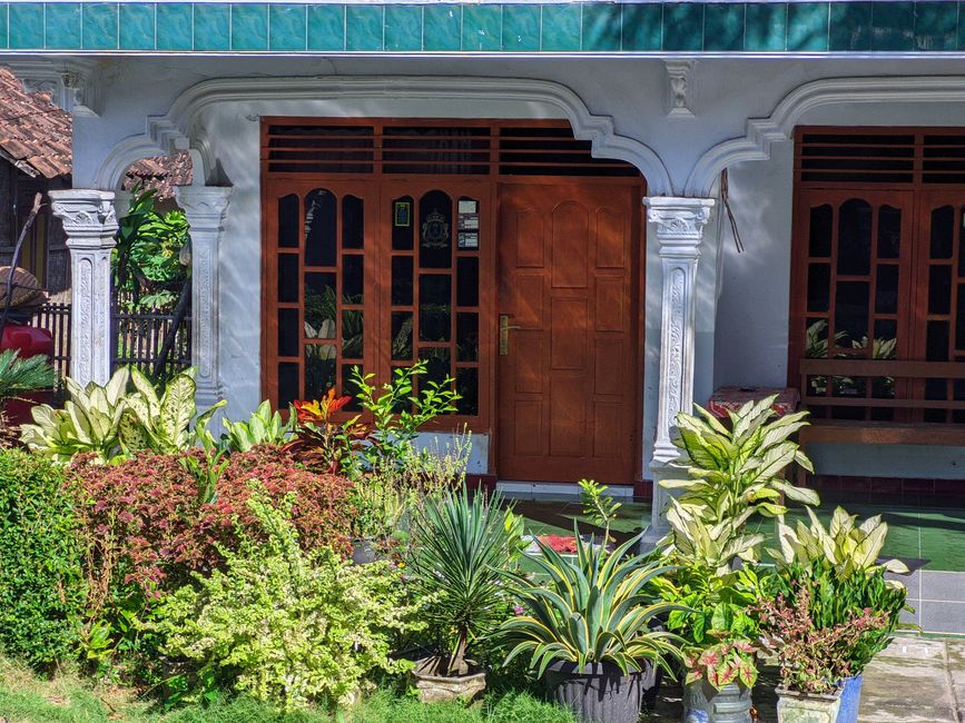 Front-Door Greenery for a mixed-age crowd — celebrations · Christmas