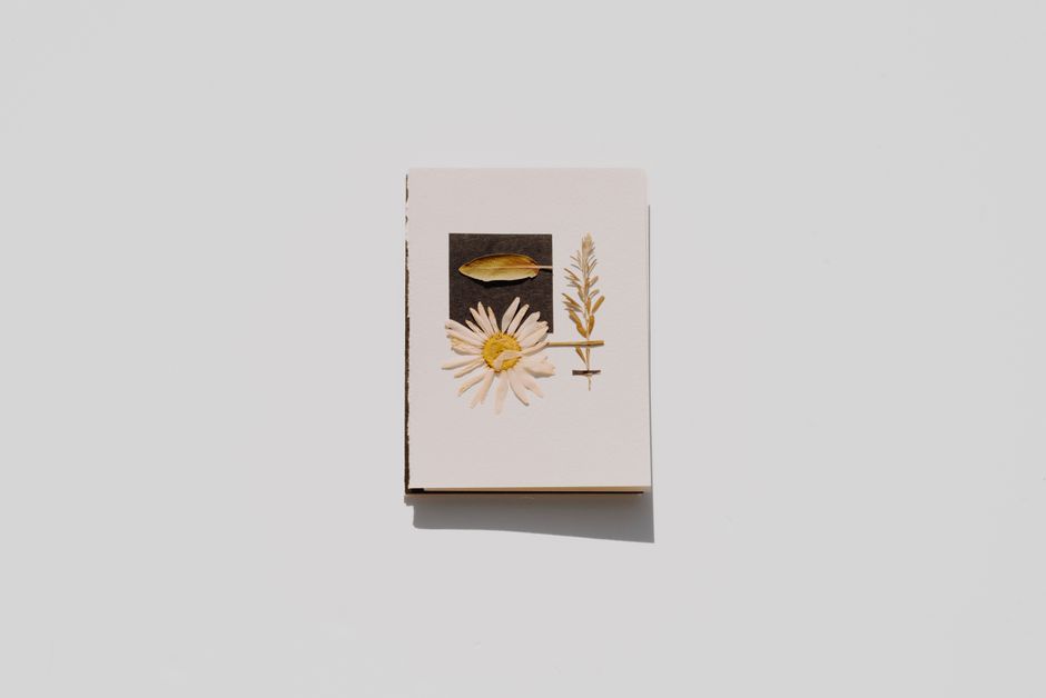 25 Pressed-Botanical Frame ideas