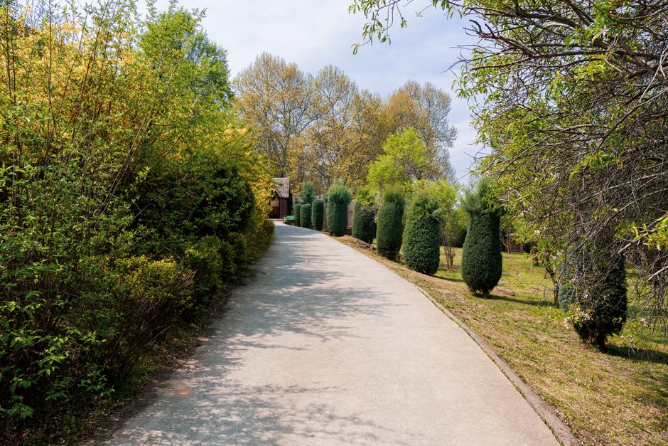 Botanical Garden Path for a restorative Sunday — wellness · Walking & Outdoor