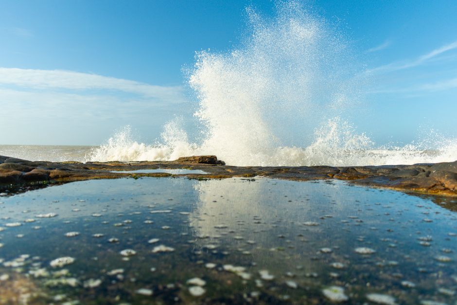 Tide-Pool Morning for an early-morning start — travel · Beach Vacations