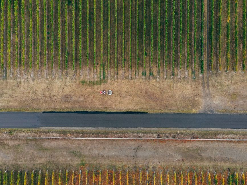 Vineyard Lunch near a signature landmark — travel · Weekend Getaways