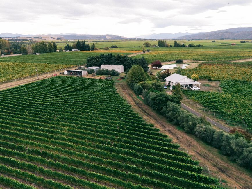 Vineyard Lunch with a short walking route — travel · Weekend Getaways