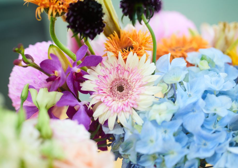 8 Pastel Flower Jar Ideas to Brighten Every Corner