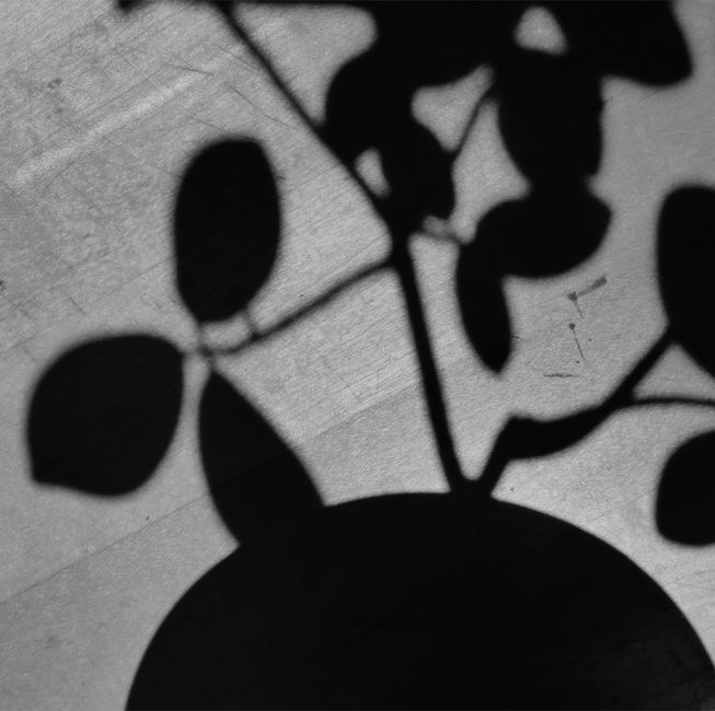 Shadow Study using old photographs — diy-creativity · Photography