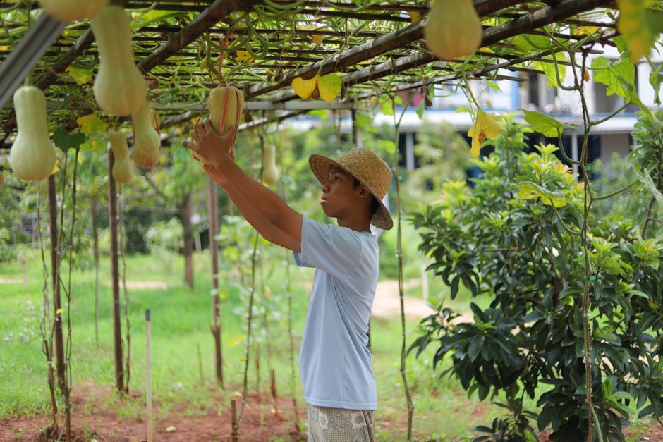 Stretching Cue — fruit during a weekend morning — wellness · Healthy Habits