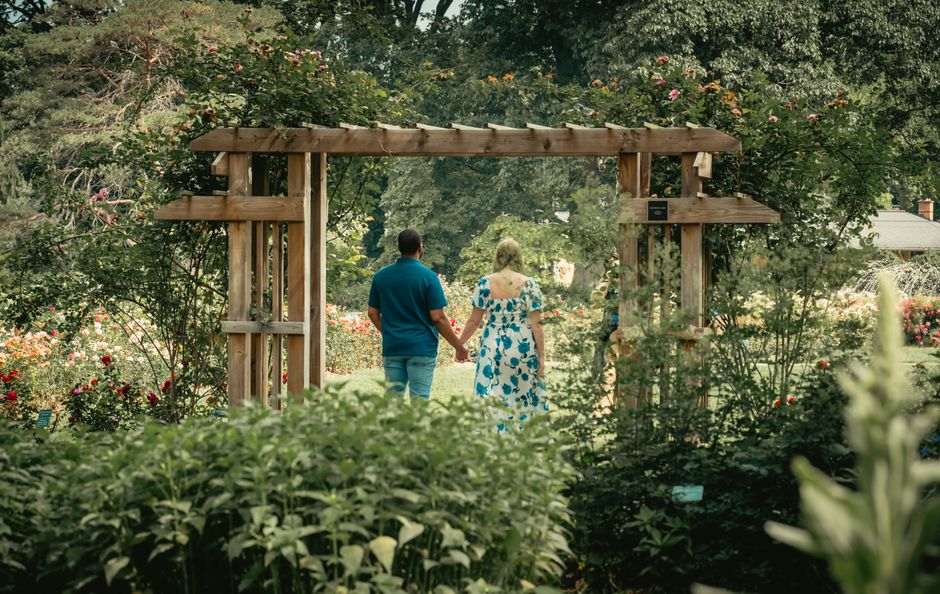 Try A Public Garden for a casual celebration — entertainment · Things to Do