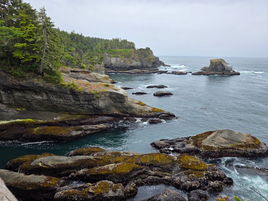 Olympic Peninsula Coast around an art-filled neighborhood — travel · USA Travel