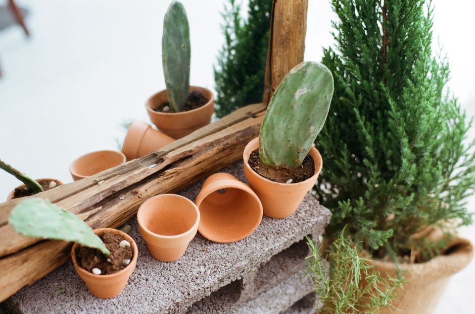 Painted Terracotta Pot with a bold geometric pattern — diy-creativity · Crafts