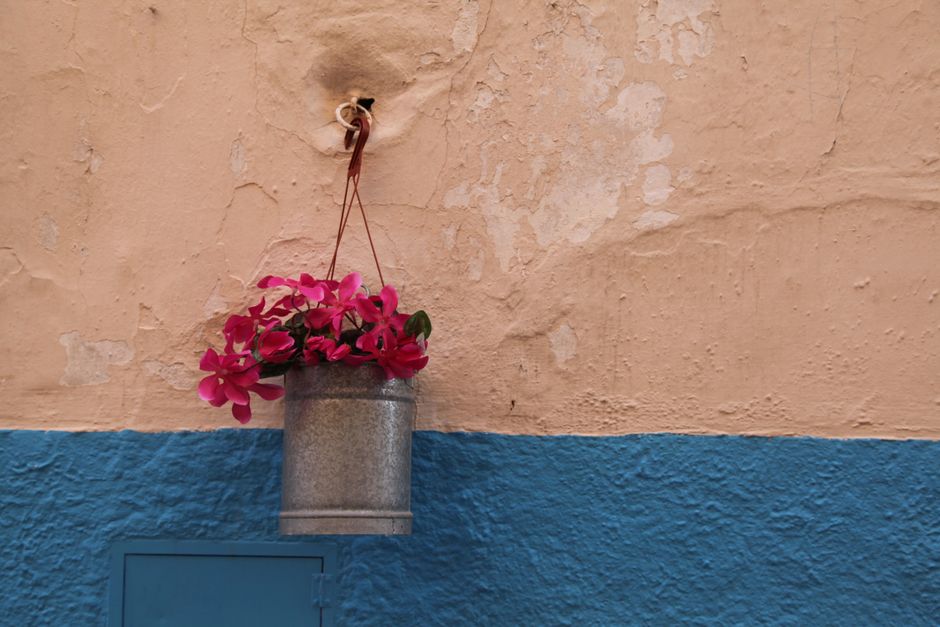 Tin-Can Planter using pressed botanicals — diy-creativity · Upcycling