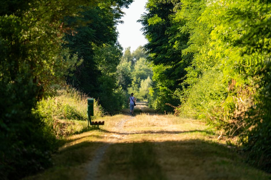 Quiet Walk before a meaningful conversation — lifestyle · Self-Care
