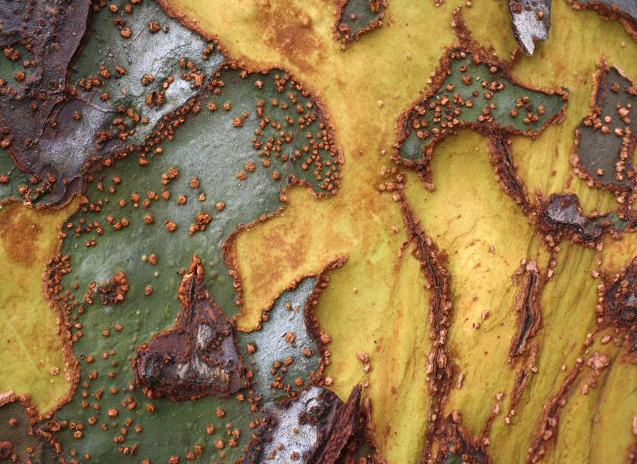 Texture Close-Up using household supplies — diy-creativity · Photography