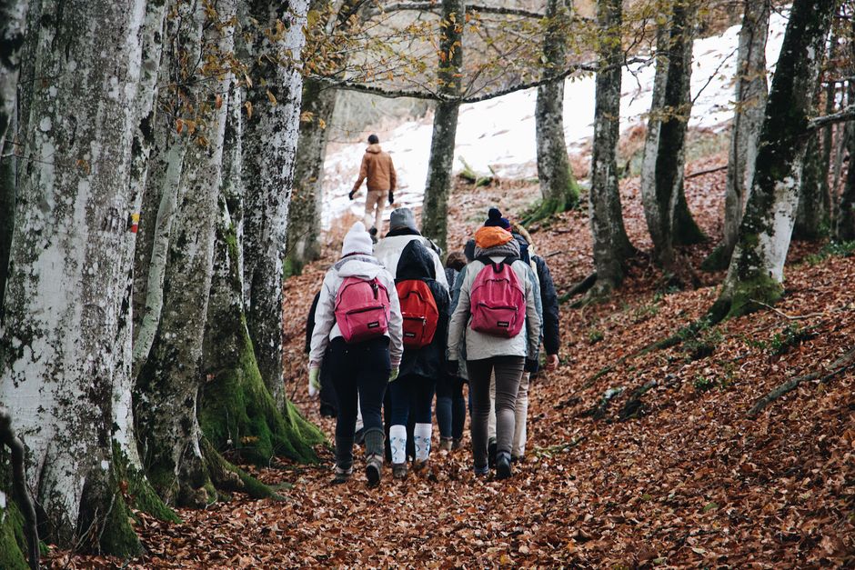 outdoor walking & outdoor rituals that get you into fresh air with a hydration cue — wellness · Walking & Outdoor