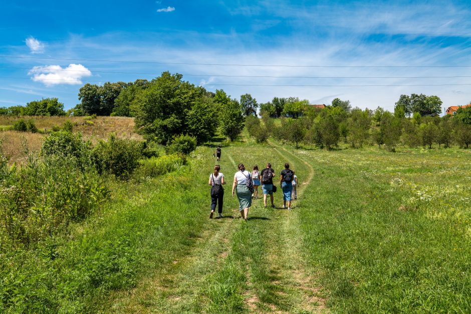 movement walking & outdoor breaks that fit into real schedules for a low-pressure workout — wellness · Walking & Outdoor