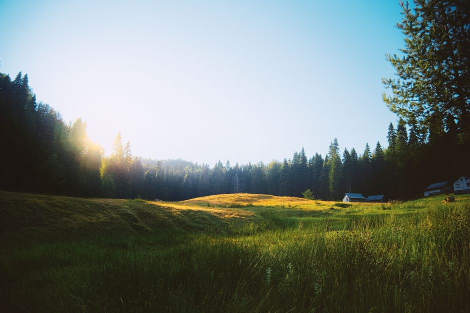 Cabin Morning with a photo-friendly pause — travel · Weekend Getaways