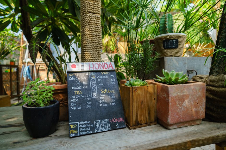 budget-friendly garden & outdoor refreshes using renter-friendly details — home · Garden & Outdoor