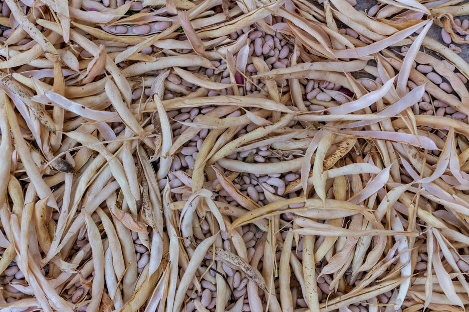 Creamy Tuscan White Beans with ginger-sesame glaze — food · Dinner Ideas