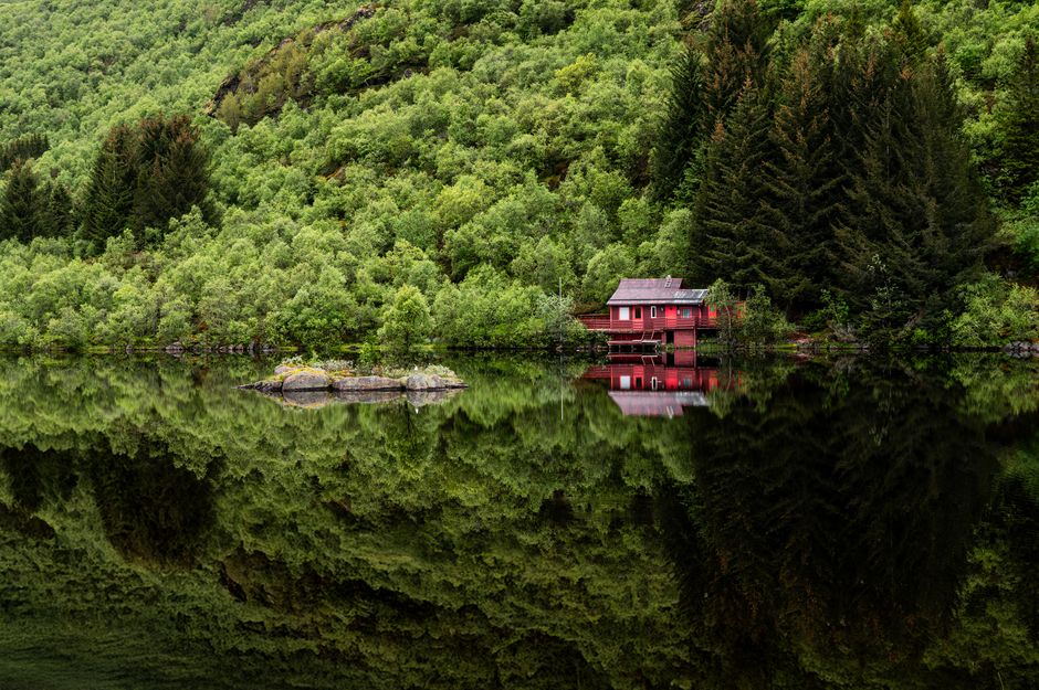 Cabin Morning near a hidden garden — travel · Weekend Getaways