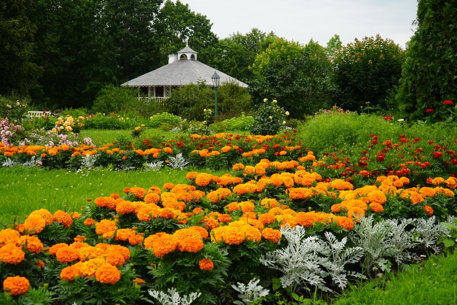 Try A Public Garden near a signature landmark — travel · Things to Do