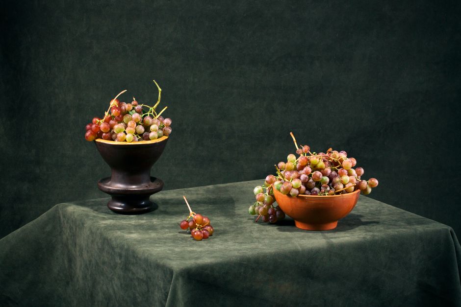 20 Still-Life Bowl Study ideas