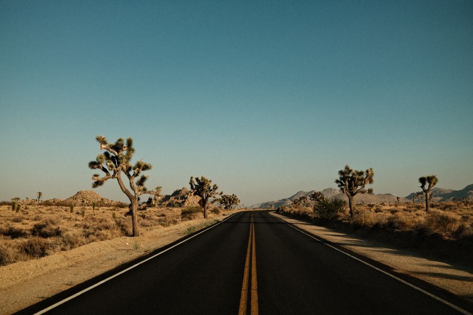 Joshua Tree Sunrise at sunrise — travel · USA Travel