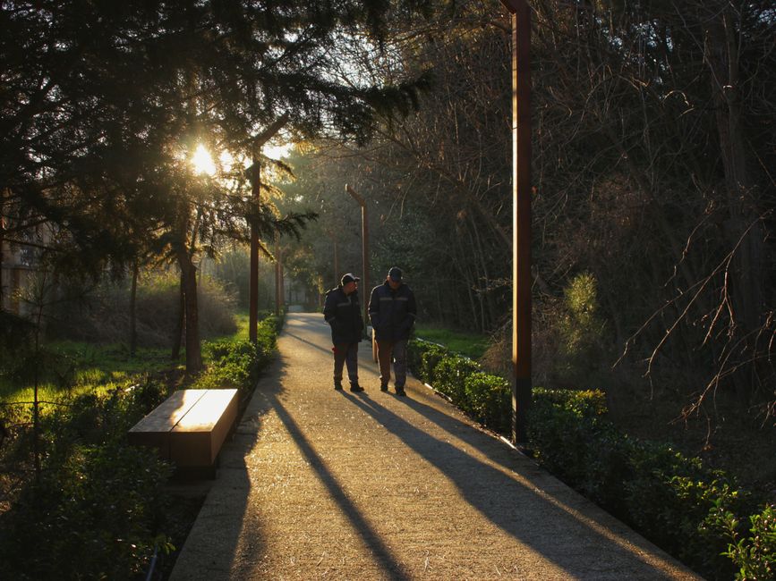 Walk-And-Talk around one new skill — lifestyle · Social Life