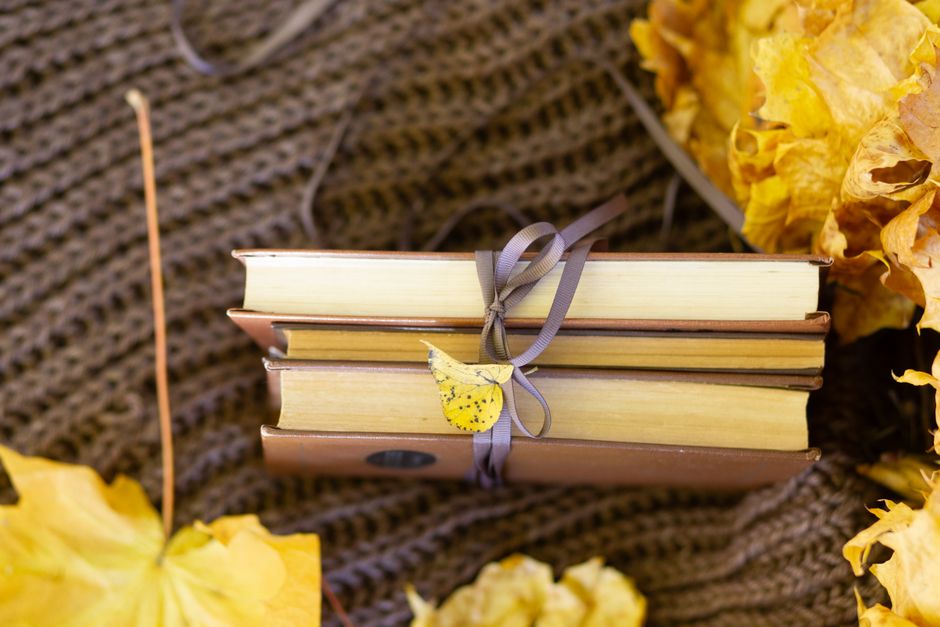 Book-And-Blanket Hour with a calming tea ritual — wellness · Relaxation