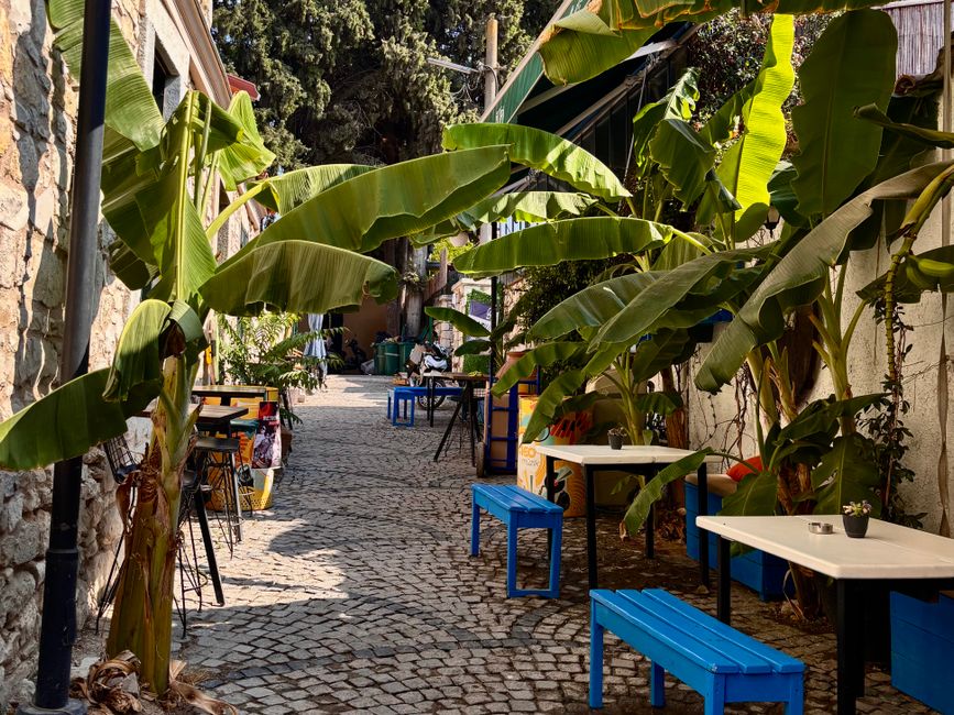 Quiet Café Route at sunrise — travel · Solo Travel