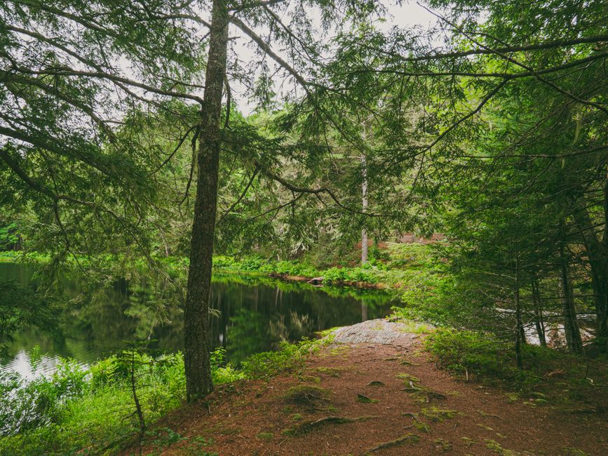 Lake Trail with a sunset picnic — travel · National Parks