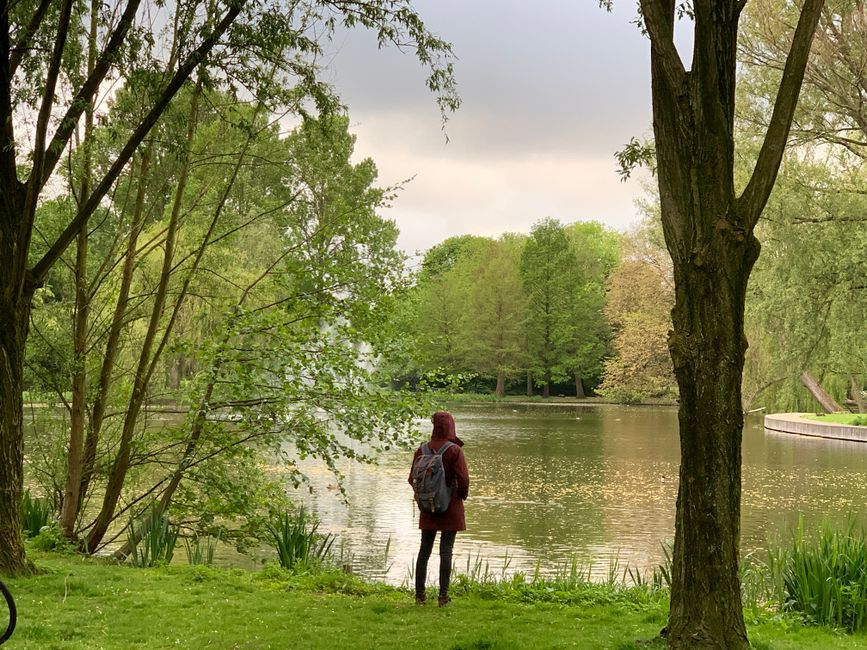 mindful walking & outdoor pauses for a low-pressure workout — wellness · Walking & Outdoor