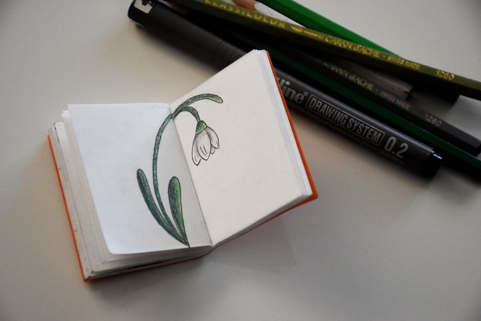 Mini Zine using pressed botanicals — diy-creativity · Creative Projects