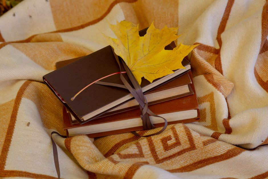 Book-And-Blanket Hour with a calming scent — wellness · Relaxation