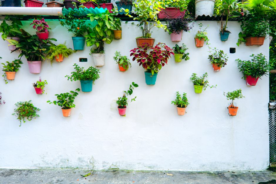 Container Garden using renter-friendly details — home · Garden & Outdoor