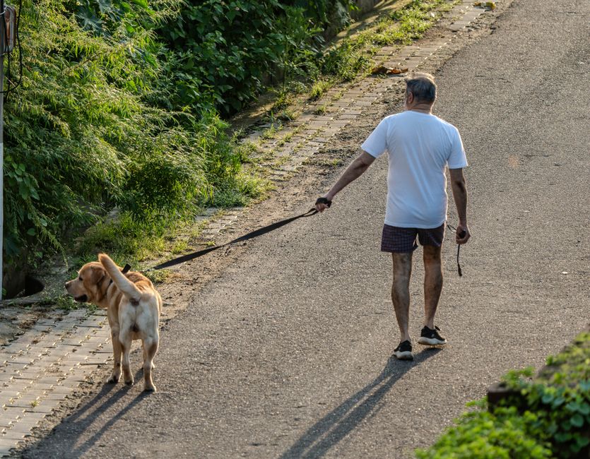 gentle walking & outdoor routines for a short outdoor break — wellness · Walking & Outdoor