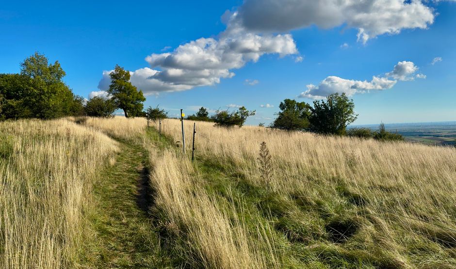 Scenic Byway around a memorable local meal — travel · Road Trips