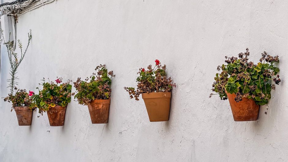 Vertical Planter with warm evening lighting — home · Garden & Outdoor