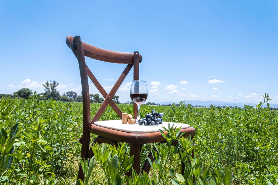 Vineyard Lunch with a flexible return route — travel · Weekend Getaways