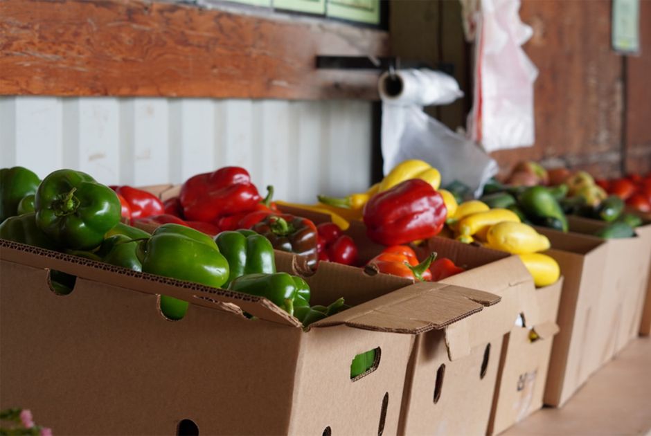 Roadside Farm Stand around a waterfront walk — travel · Road Trips