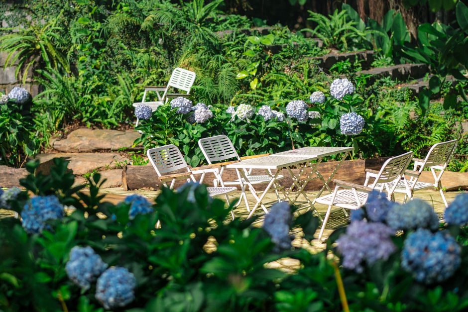 budget-friendly garden & outdoor refreshes with layered natural textures — home · Garden & Outdoor