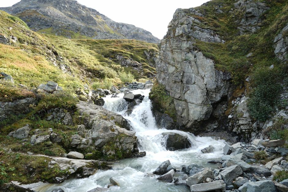 Easy Waterfall Trail with a local-only flavor — travel · Family Travel