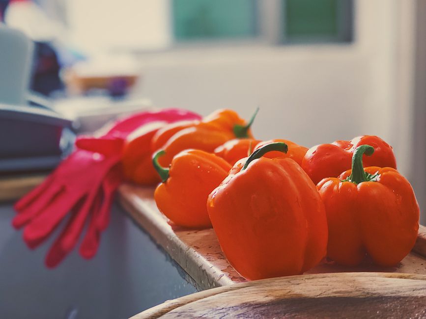 Stuffed Bell Peppers with smoky paprika — food · Dinner Ideas