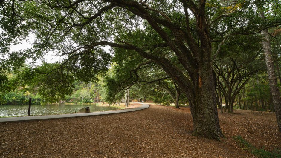 Park Loop after a demanding week after a demanding week — wellness · Walking & Outdoor