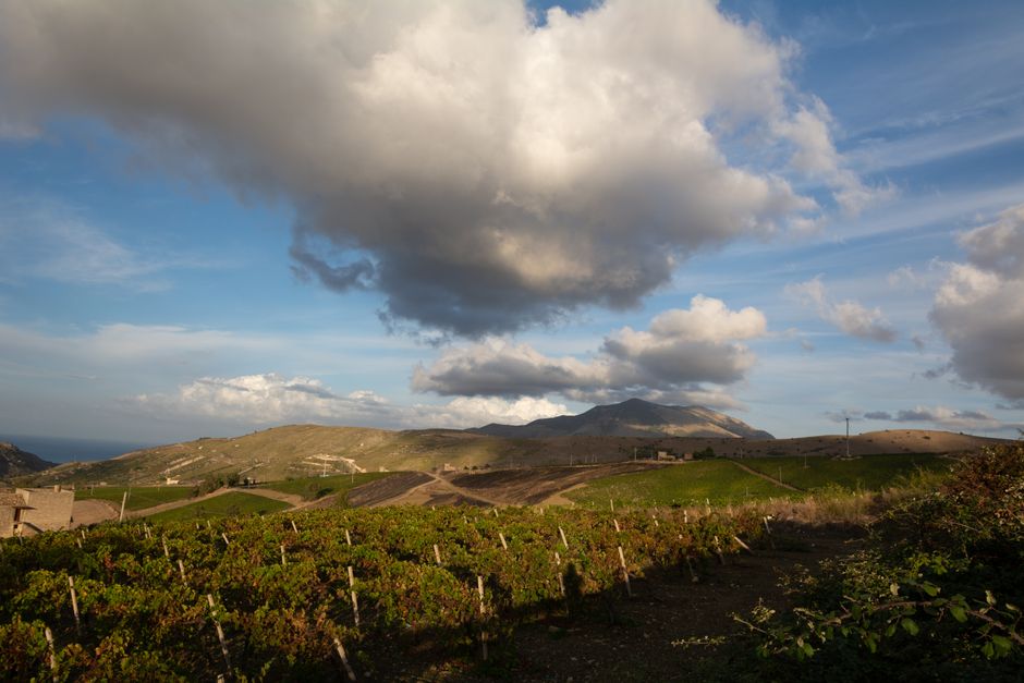 Vineyard Lunch around a memorable ferry ride — travel · Weekend Getaways