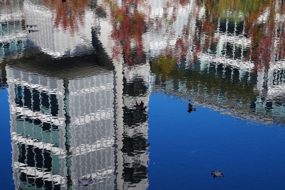 Reflections in Glass for a rainy afternoon — diy-creativity · Photography