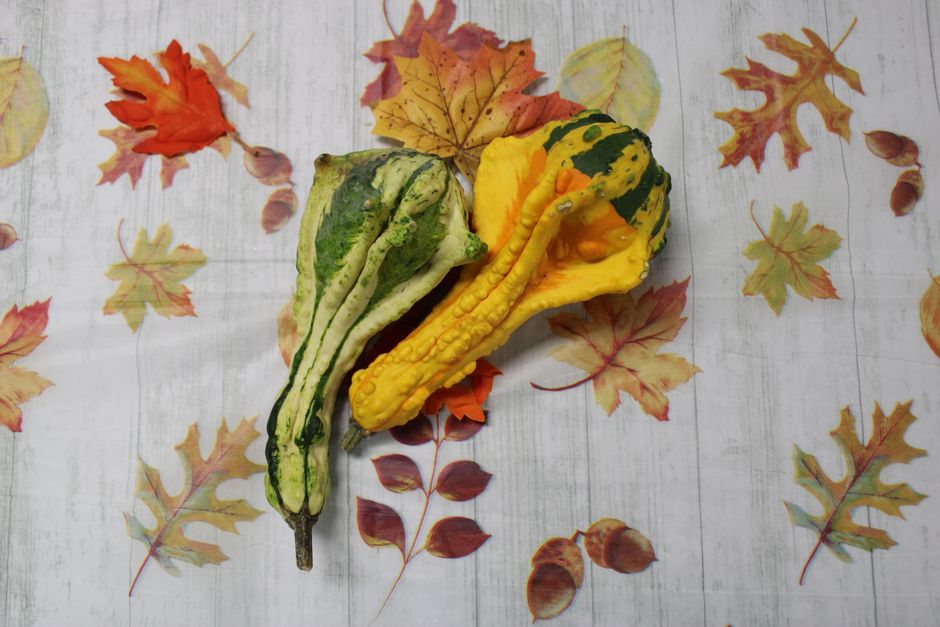 Harvest Table Runner for a late-afternoon gathering — celebrations · Thanksgiving