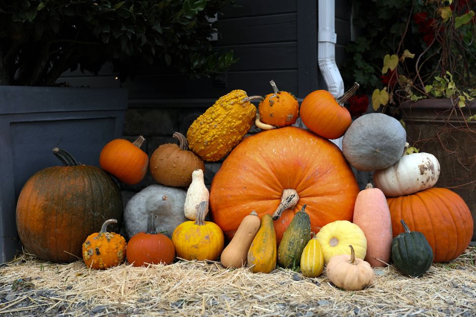 Pumpkin Doorway around a dessert-first menu — celebrations · Halloween