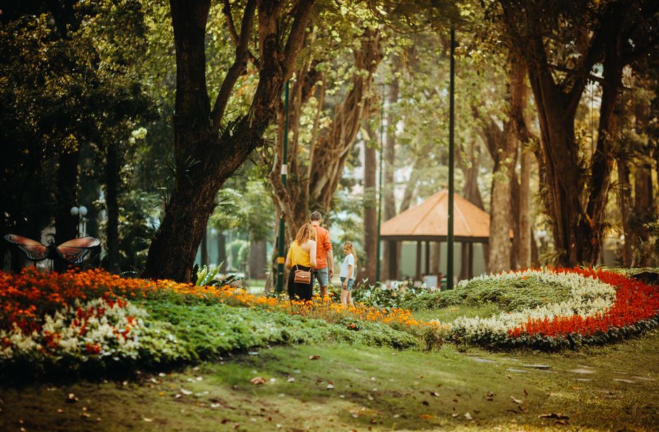 Try A Public Garden with a surprise reveal — entertainment · Things to Do