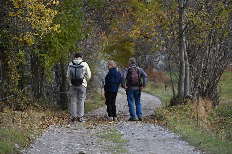 outdoor walking & outdoor rituals that get you into fresh air with a calming scent — wellness · Walking & Outdoor